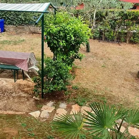 Cecillia Mare ロヴィニ