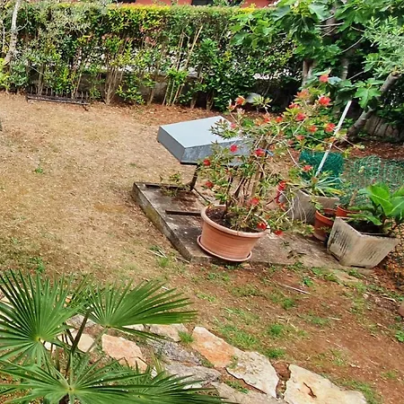 Cecillia Mare Apartament *