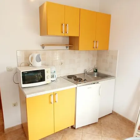 Cecillia Mare * ロヴィニ