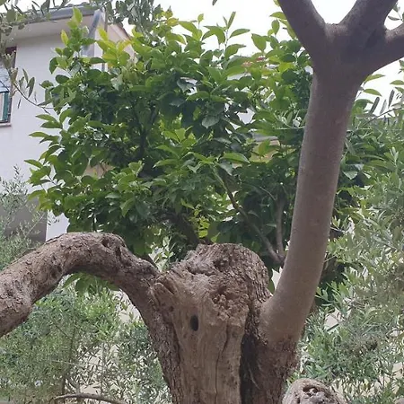 Cecillia Mare Appartement Rovinj