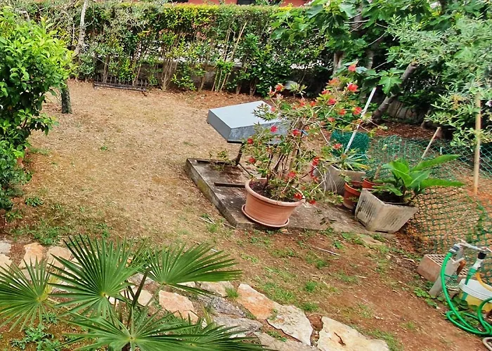 Cecillia Mare Appartement *