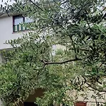 Cecillia Mare * Rovinj
