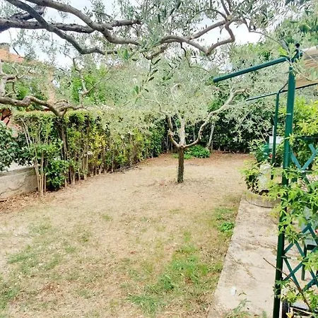 Apartmán Cecillia Mare *