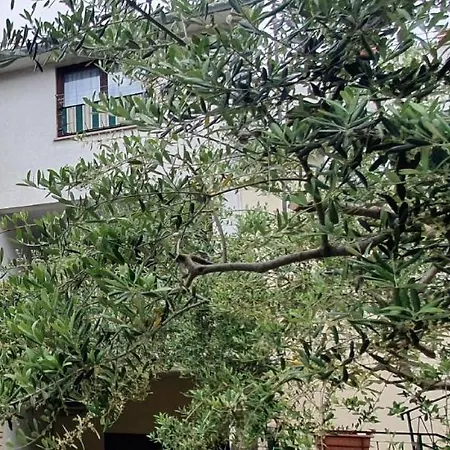 Cecillia Mare * Rovinj