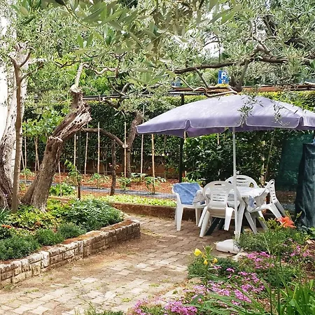 Cecillia Mare Rovinj