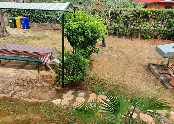 Cecillia Mare Ρόβινι