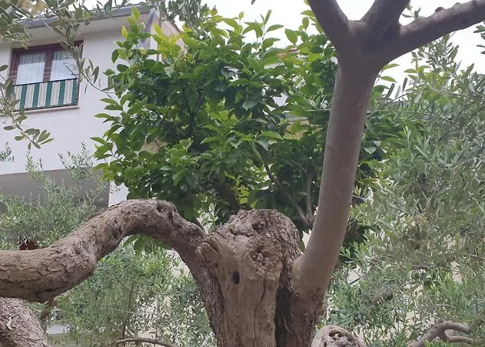 Cecillia Mare Διαμέρισμα Ρόβινι